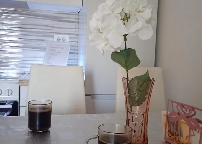 Apartment Nova - Stan Na Dan Vranje